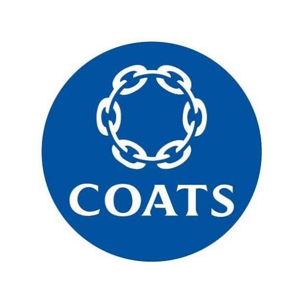 Collaborator 4